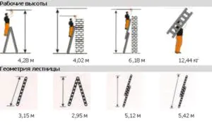 Лестница 56 300кс178.йпг